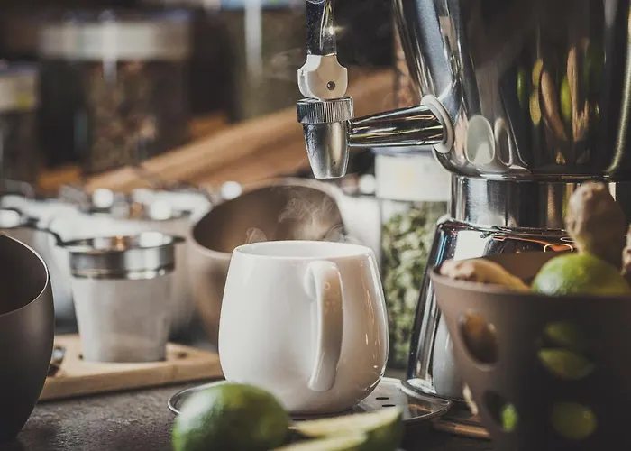 酒店 Bergkristall Zillertal - Adults Only