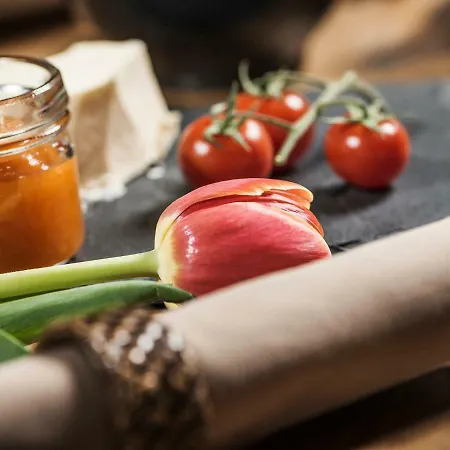 Bergkristall Zillertal - Adults Only 4* Hippach