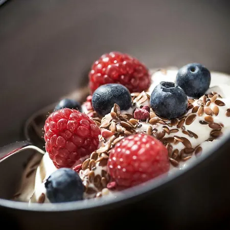 Bergkristall Zillertal - Adults Only Hotel